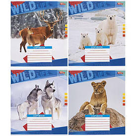 Зошит Мрія 18 аркушів клітинка