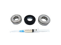 Комплект підшипників 6203+6204 SKF + сальник (25*50.55*10/12мм) + змазка