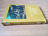 Книга Баладі. Родинно-побутові стосунки Б/У, фото 4