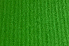 Папір для дизайну Elie Erre A3 220г/м2 №11 зелений, дві текстури