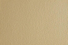 Папір для дизайну Elie Erre A3 220г/м2 №01 бежевий, дві текстури