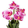 Букет орхідей 33 см, рожевий ELISEY, фото 2