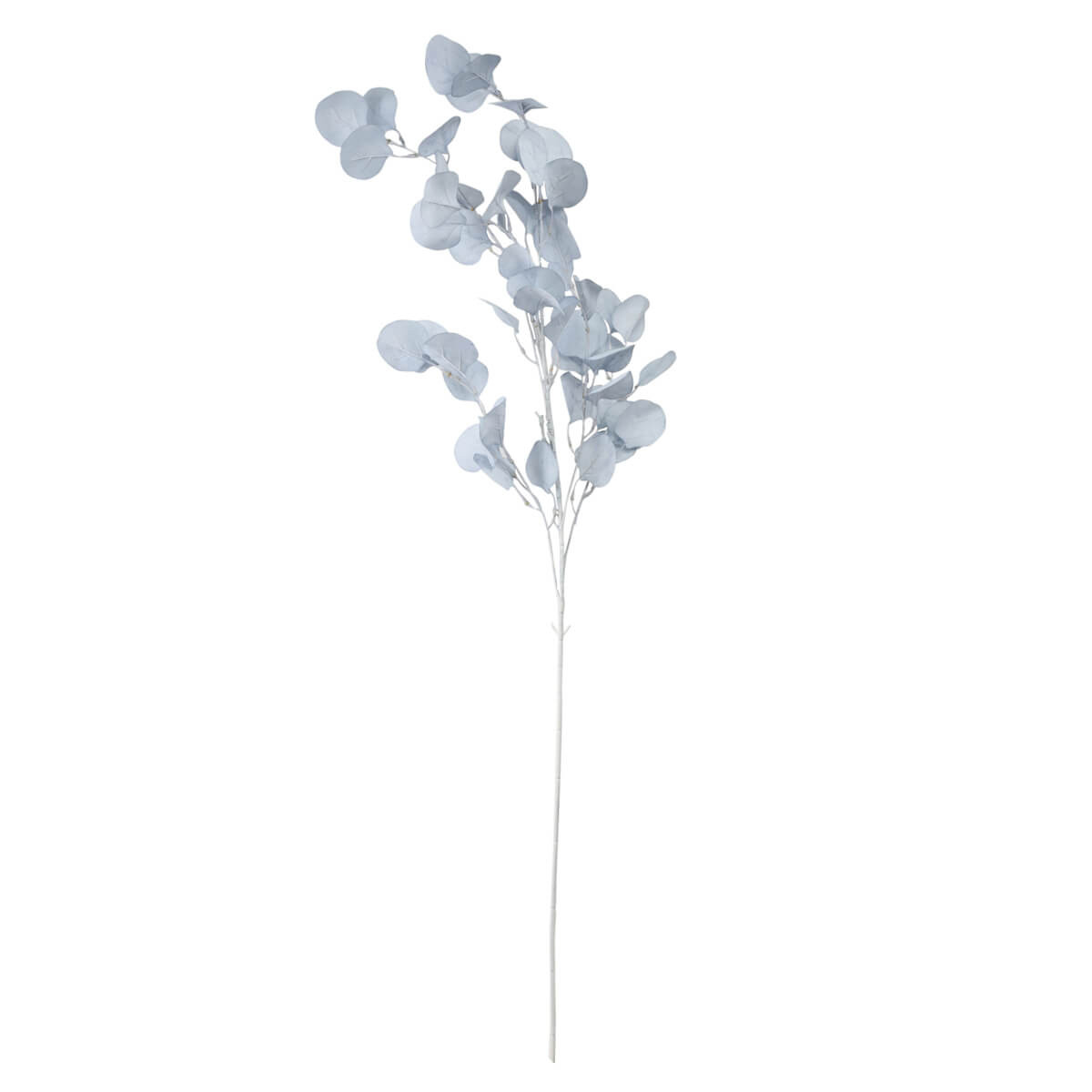 Евкаліпт "Чарівність", блакитний, 105 см ELISEY, фото 1