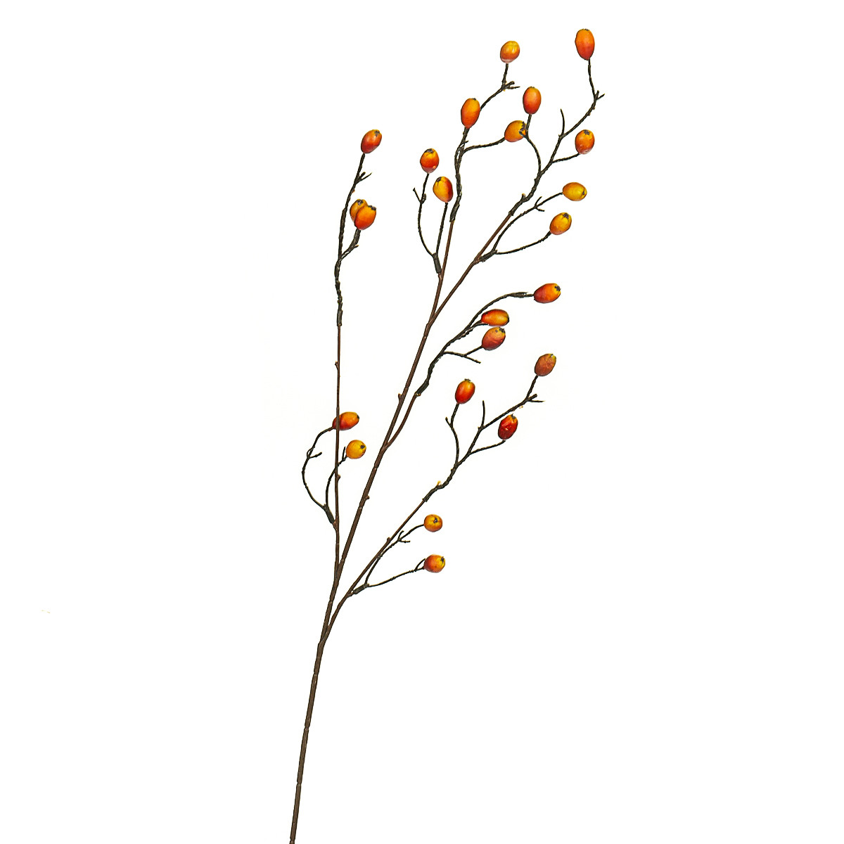 Гілочка шипшини, 82 см ELISEY, фото 1