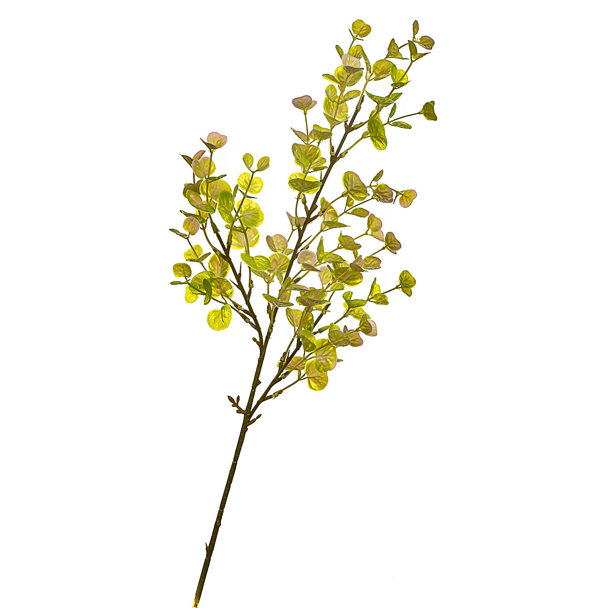 Гілка штучна "Евкаліпт", лимонно - жовта ELISEY, фото 1