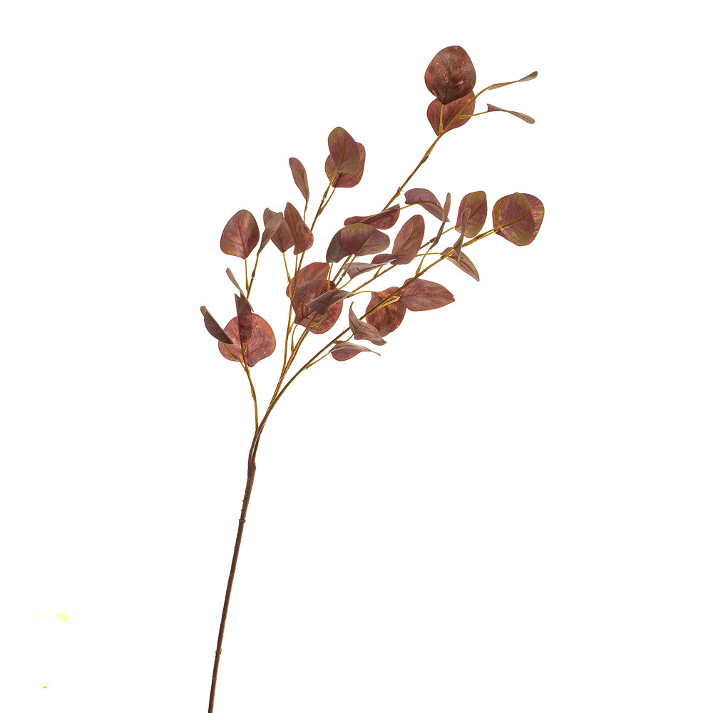 Гілка штучна "Евкаліпт",  теракотовий ELISEY, фото 1