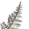 Декоративна гілка "Срібне листя" ELISEY, фото 4