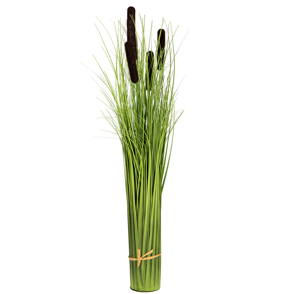 Декоративний очерет, коричневий ELISEY, фото 1