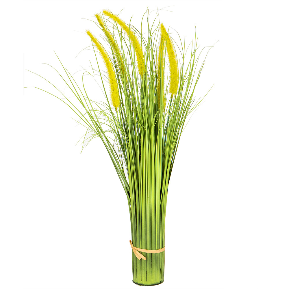 Декоративний очерет, жовтий ELISEY, фото 1