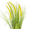 Декоративний очерет, жовтий ELISEY, фото 2