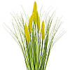 Декоративний очерет, жовтий ELISEY, фото 2