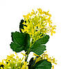 Штучна зелень, жовта ELISEY, фото 2