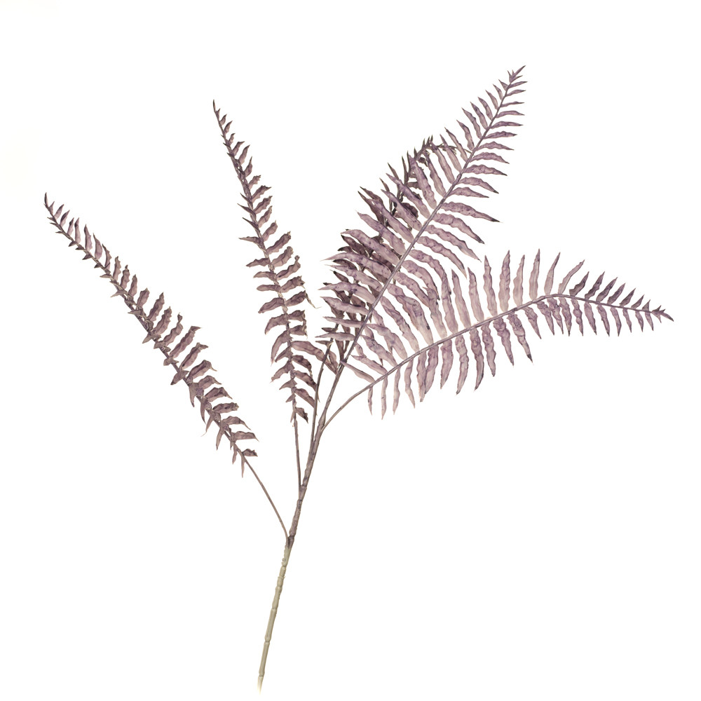 Гілка папороті, бузкова ELISEY, фото 1