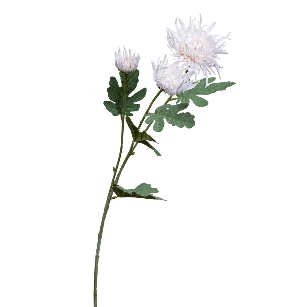 Хризантема біла ELISEY, фото 1