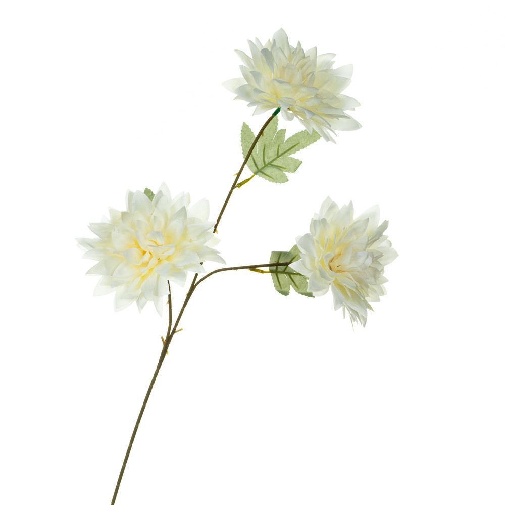 Хризантема, біла ELISEY, фото 1