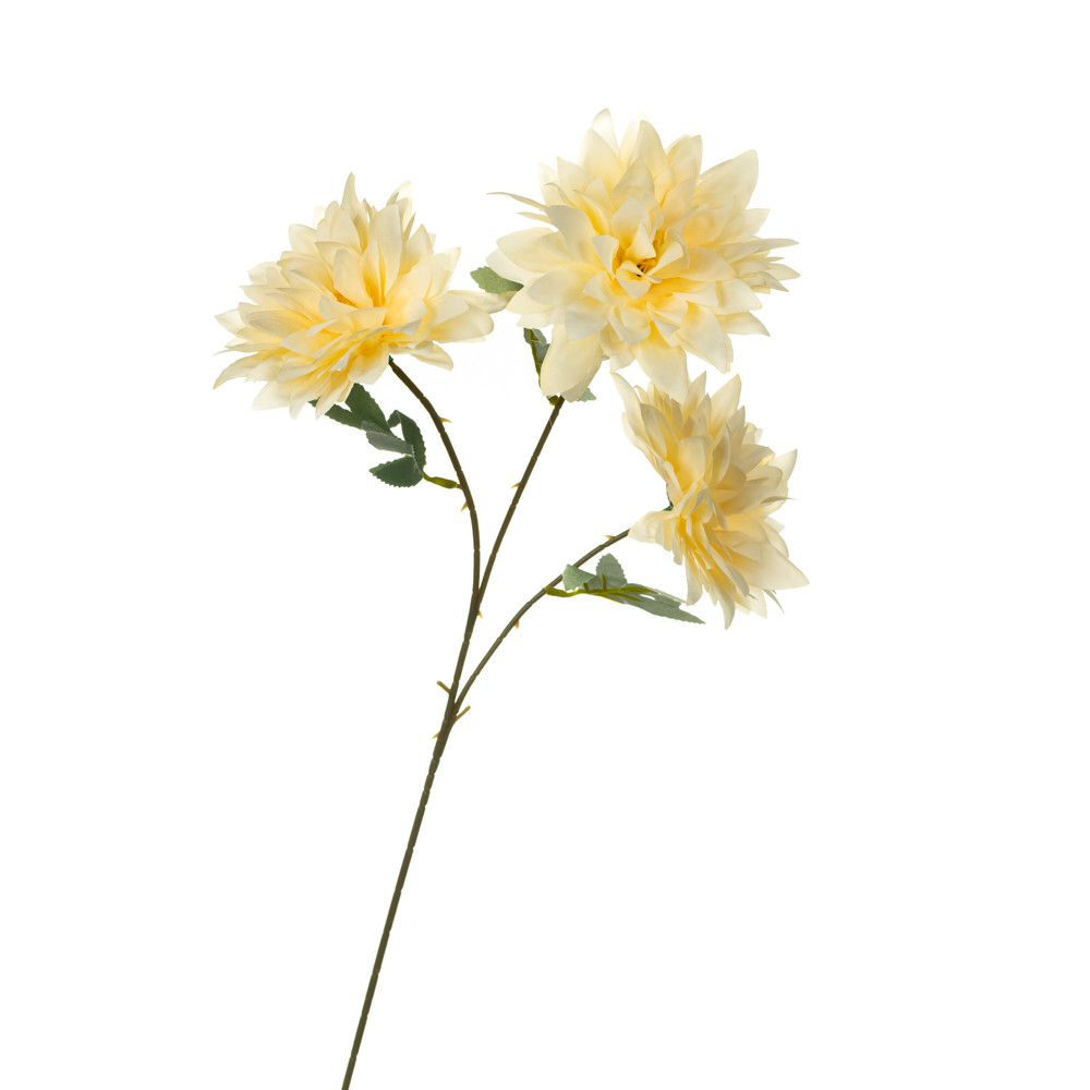 Хризантема, кремова ELISEY, фото 1