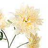 Хризантема, кремова ELISEY, фото 2