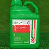 Протруйник Авіценна 5 л (Тебуконазол, Прохлораз, Крезоксим-метил) від Альфа Смарт Агро: Надійний Захист Насіння та Сходів, фото 2