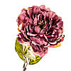 Квітка штучна "Троянда піоноподібна бордова" ELISEY, фото 2