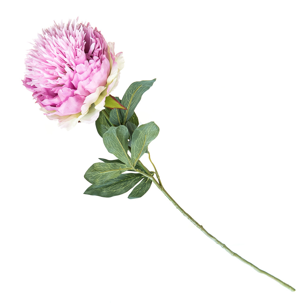 Півонія фіолетова, 85 см ELISEY, фото 1