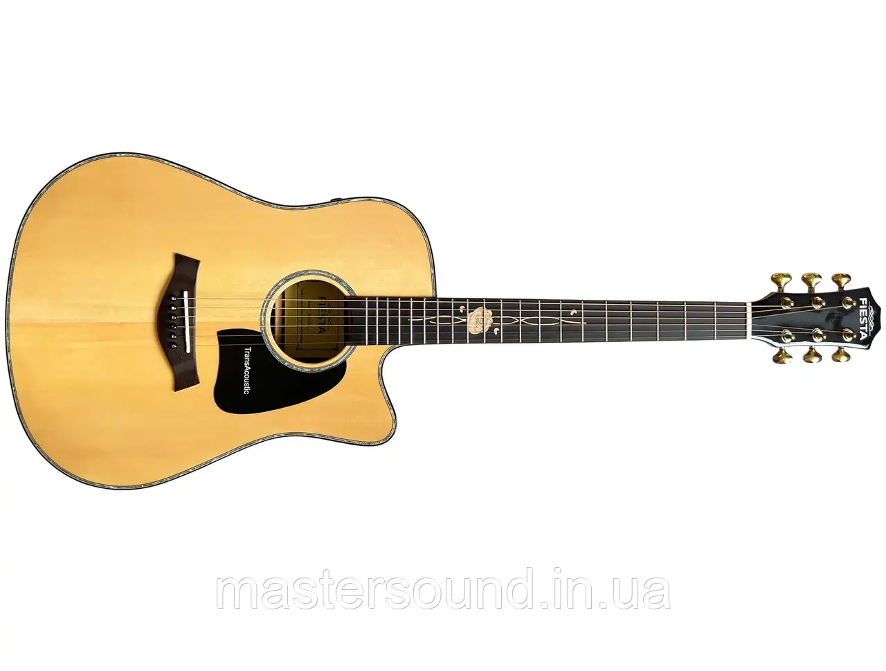 Акустична гітара Fiesta Space, фото 1