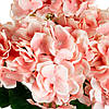 Букет "Гортензія коралова" ELISEY, фото 2