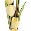 Тюльпани "Чарівність", жовті, 35 см ELISEY, фото 2