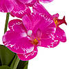 Букет орхідей, рожевий, 34 см ELISEY, фото 2