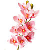 Орхідея ванда, ясно-рожева ELISEY, фото 2