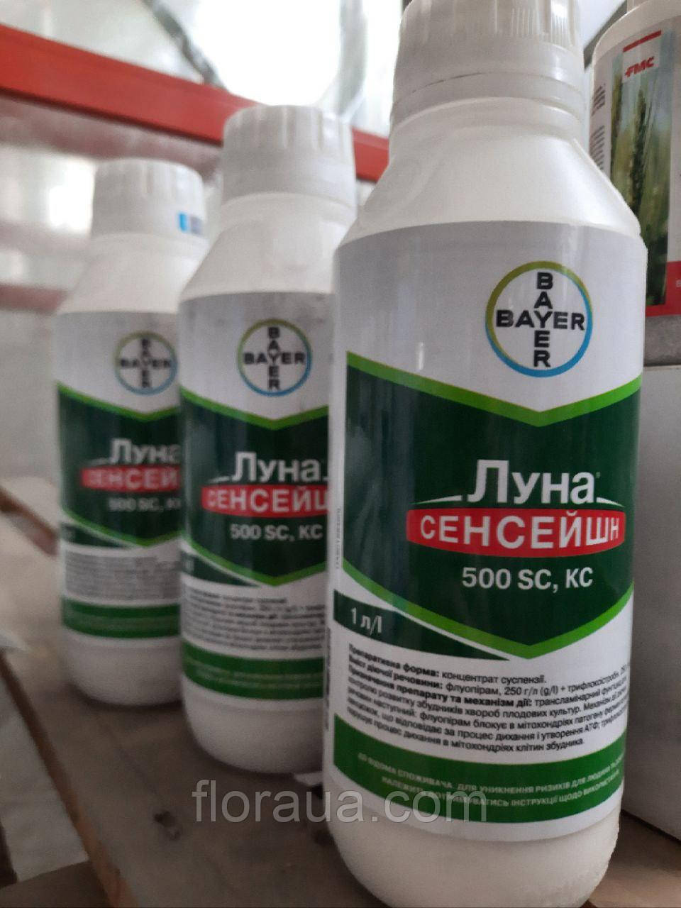 Фунгіцид Луна Сенсейшн 1 л, фото 1