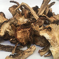 Деякий лікарський корінь Карпати (дудник, ангеліка) 50 г