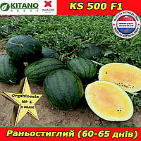 Жовтий кавун КS 500  F1, 1000 насінин, KITANO SEEDS (Нідерланди)