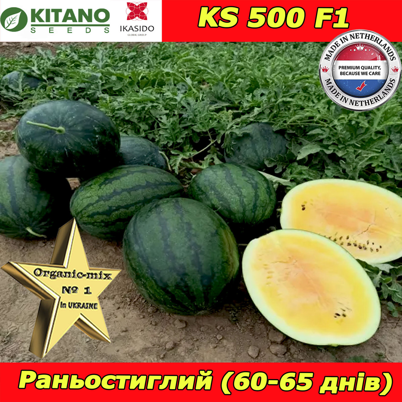 Жовтий кавун КS 500 F1, 1000 насінин, KITANO SEEDS (Нідерланди)