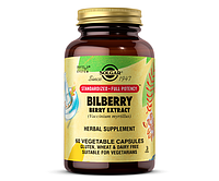 Экстракт черники Solgar (Bilberry Berry extract) 260 мг 60 капсул