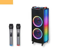 Портативна колонка валіза XPRO NDR-1010S 100Вт, USB, SD, FM радіо, Bluetooth, 2 мікрофон, ДК (41193-NDR-1010S)