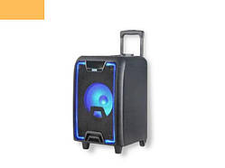 Портативна колонка бумбокс XPRO NDR-2010 валіза 30Вт, USB, SD, FM радіо, Bluetooth, 1 мікрофон, ДК (MER-15722)