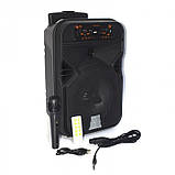 Портативна колонка XPRO KTS-1531 акумуляторна з мікрофоном USB, SD, Bluetooth, FM чорна (AM-3199), фото 2