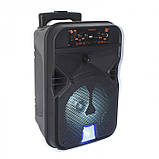 Портативна колонка XPRO KTS-1531 акумуляторна з мікрофоном USB, SD, Bluetooth, FM чорна (AM-3199), фото 3