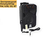 Портативна колонка XPRO KTS-1531 акумуляторна з мікрофоном USB, SD, Bluetooth, FM чорна (AM-3199), фото 4