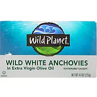 Wild Planet, Выловленные в диких условиях белые анчоусы в оливковом масле первого холодного отжима, 4,4 в в