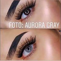 Кольорові контактні лінзи сірі з діоптріями fancylook aurora gray для зору