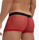 Прозорі боксери Ciokicx червоного кольору з люрексом, фото 2