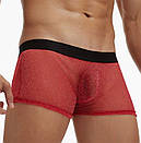 Прозорі боксери Ciokicx червоного кольору з люрексом, фото 3