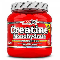 Creatine Monohydrate Amix (300 грамм)