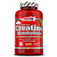 Creatine Monohydrate Amix (500 капсул)