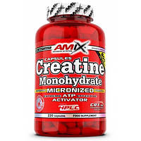 Creatine Monohydrate Amix (220 капсул)