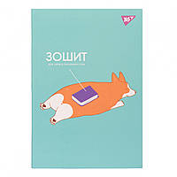 Зошит для запису іноземних слів інтегральна софт-тач+УФ-виб. Corgi butt YES