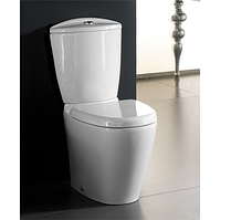 Порцеляновий унітаз + бачок RAK Ceramics Venice + кришка ABS Soft Close Delux (RAK0040) Білий