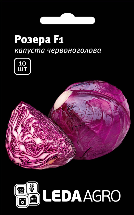 Розера F1 10 шт Leda Agro Капута червоношкіряна Насіння (РожеваF1 Капута Червоно-чанна Насіння)