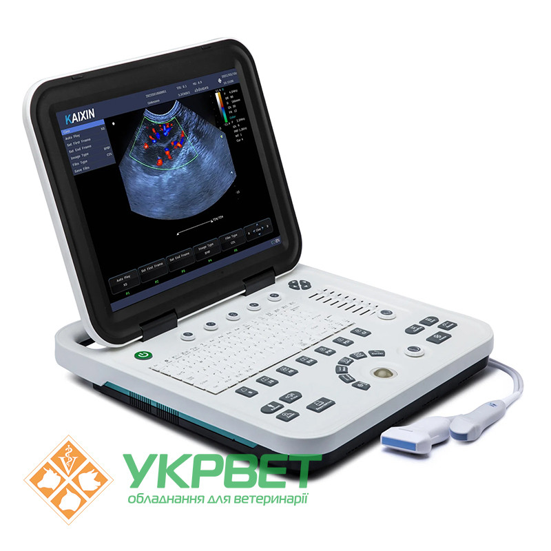 Ультразвуковой ветеринарный сканер с цветным доплером KU1-VET - фото 3 - id-p1895641214